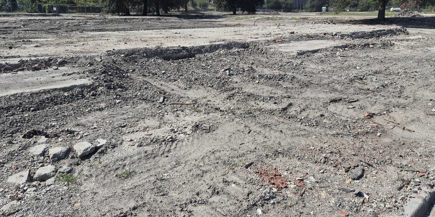 The cleared Swanson site with graded ground and mature trees along the edge